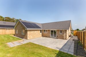 Photo 15- click for photo gallery